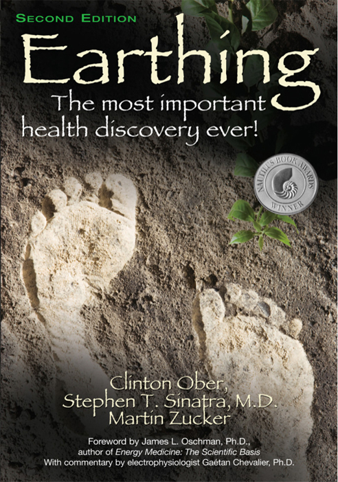 Earthing Book Cover