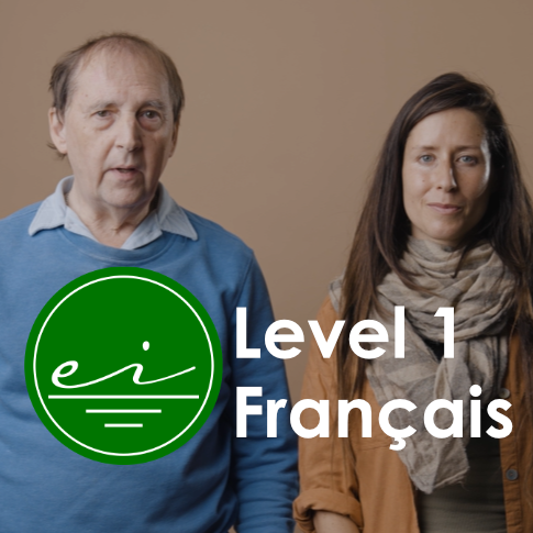 Certificat de mise à la terre niveau 1 (Français)