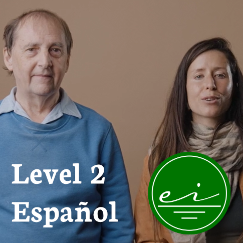 Nivel 2 Certificación Earthing