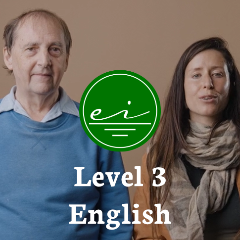 Level 3 Earthing Certificate (English)